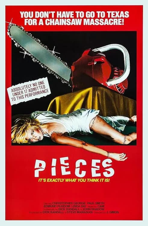 Pieces film posteri